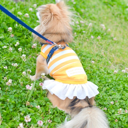 蚊除けタンク反射プリント付き！　グレー 5枚目の画像