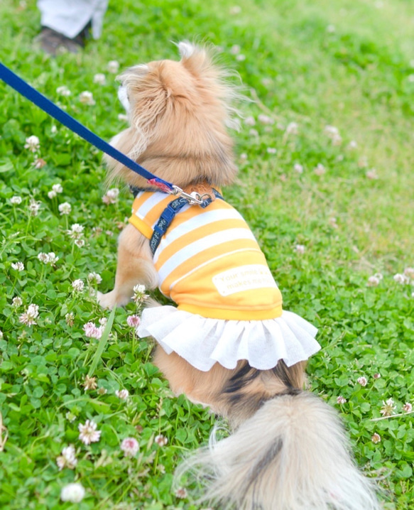 蚊除けタンク反射プリント付き！　グレー 5枚目の画像