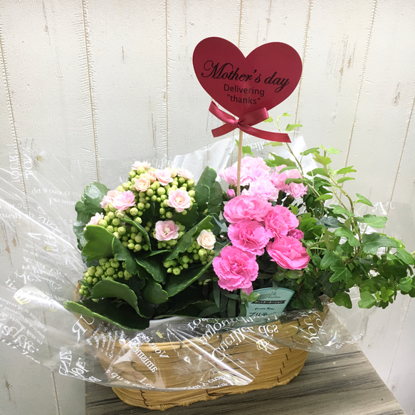 母の日にも♪ 寄せ植え　花■シックなカラーの寄せ植え　カーネーション 母の日ギフト カランコエ×カーネーション ピンクミックス♡ 寄せ鉢