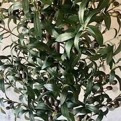 光触媒　人工観葉植物　ウォールグリーン　フェイク　　　　フラワー　オリーブ176 4枚目の画像