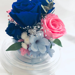 プリザーブドフラワー／ドームの中に咲く青とピンクの薔薇と小花のフラワードーム 5枚目の画像