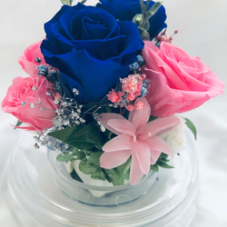 プリザーブドフラワー／ドームの中に咲く青とピンクの薔薇と小花のフラワードーム 6枚目の画像