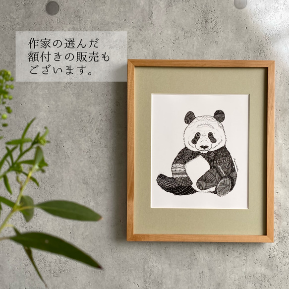 パンダのポスター  B5  (フレームなし) 7枚目の画像
