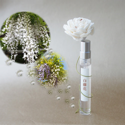 嗅ぐ楽しみ　白藤花（藤の花）ノ香　10ml　花束風は有料に　リアル花ノ香　天然香料　曼荼羅寺 1枚目の画像