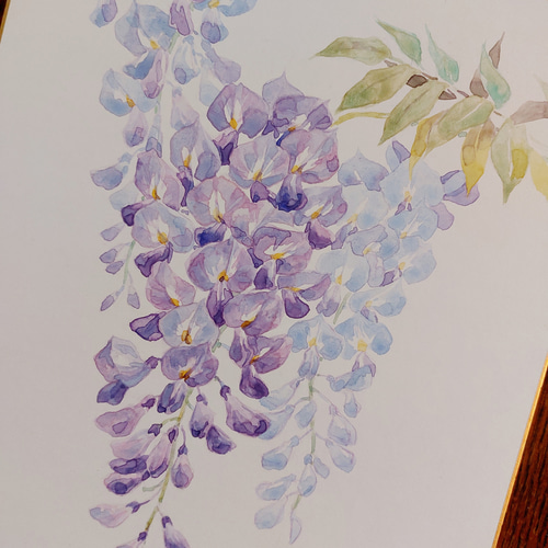 野にて水彩画(270×240㎜)