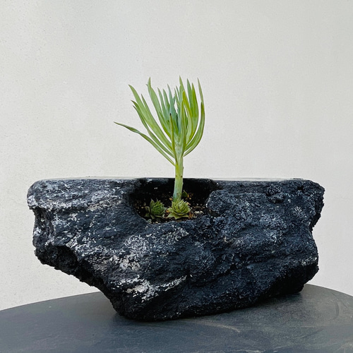 モルタル造形 プランター 擬石プランター 植木鉢 / 左官屋てづくりの一点物 / モルタル造形