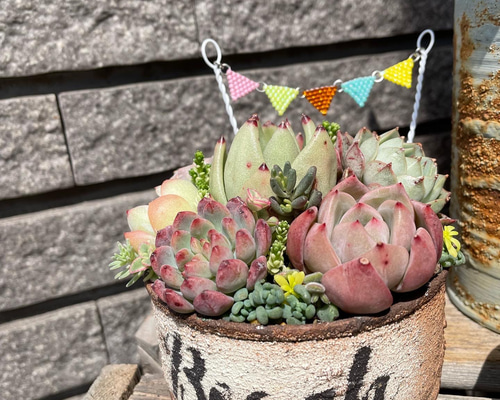 24efe81c88d8e21cb973c9608f923e