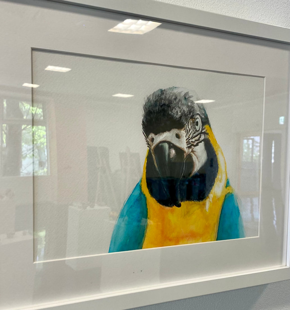 水彩原画　一点もの　happy parrot 1枚目の画像
