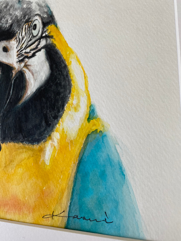 水彩原画　一点もの　happy parrot 4枚目の画像