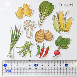 【Lサイズ追加】お野菜フレークシール④ 8枚目の画像