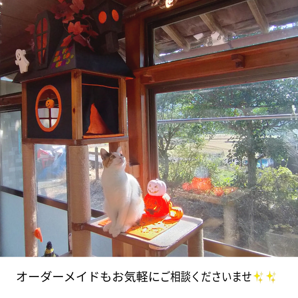 器の高さと傾斜を選べます。ペットのゴハン台2連タイプ、ペットフードスタンド 10枚目の画像