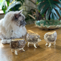 植木鉢 手作り のおすすめ人気通販 検索結果｜Creema(クリーマ