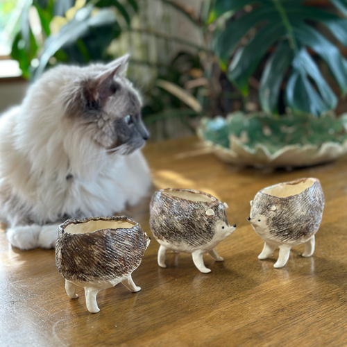 陶の器*ハリネズミ 花器 置物 陶器 小物入れ プレート 一輪挿し