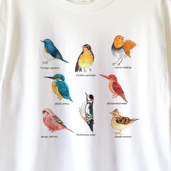 【送料無料】 森の野鳥図鑑白Tシャツ～子供から大人までみんなで使える13サイズ～ 2枚目の画像