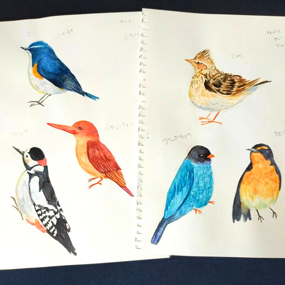 【送料無料・2サイズ】 森の野鳥図鑑トートバッグ 絵本風水彩デザイン 3枚目の画像