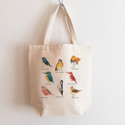 【送料無料・2サイズ】 森の野鳥図鑑トートバッグ 絵本風水彩デザイン 1枚目の画像