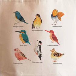 【送料無料・2サイズ】 森の野鳥図鑑トートバッグ 絵本風水彩デザイン 2枚目の画像