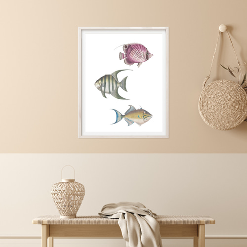 dubien アート絵画✳︎インテリア✳︎ヴィンテージ ヴィンテージ お魚アートポスター02 (51_fish_right)｜北欧