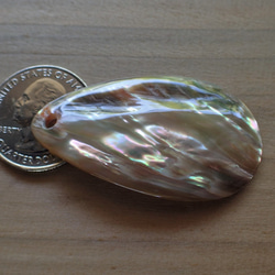 島根県隠岐の島産アワビ　ペンダントトップ滴型 1枚目の画像