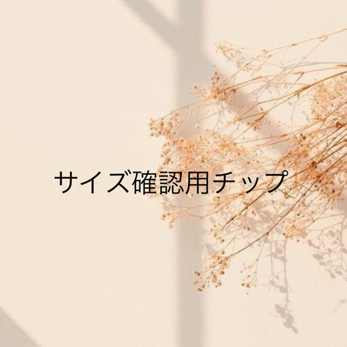 クリアサンプルチップ/サイズ確認用チップ ネイルチップ（つけ爪 