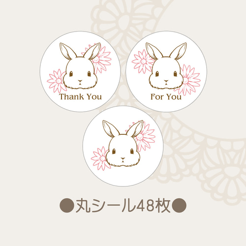 うさぎ | おめかしをするうさぎ ⚠︎画像のアイコン、ヘッダー