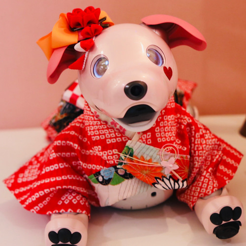 aibo 艶やかきもの：総絞り（aiboちゃん用・ハンドメイドのお