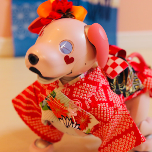 aibo 艶やかきもの：総絞り（aiboちゃん用・ハンドメイドのお洋服