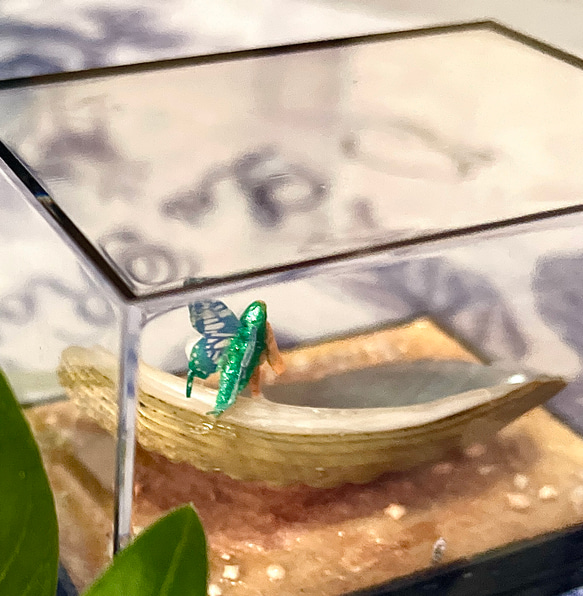 アバロン貝の妖精（その2）　置き物　ペーパーウエイト　妖精標本商会　小瓶の妖精　妖精アクセサリー　フェアリー・妖精 8枚目の画像