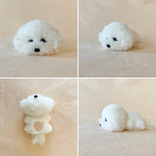 単色ビションカットのうちの子ぽんぽん（ぺしゃんこタイプ） ビション 