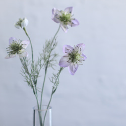 繊細なニゲラの花瓶挿し（枯れない・水換え不要） 4枚目の画像