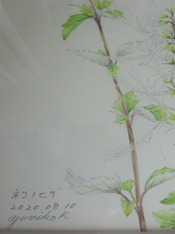 透明水彩絵具　ネコノヒゲ　影山由美子 5枚目の画像
