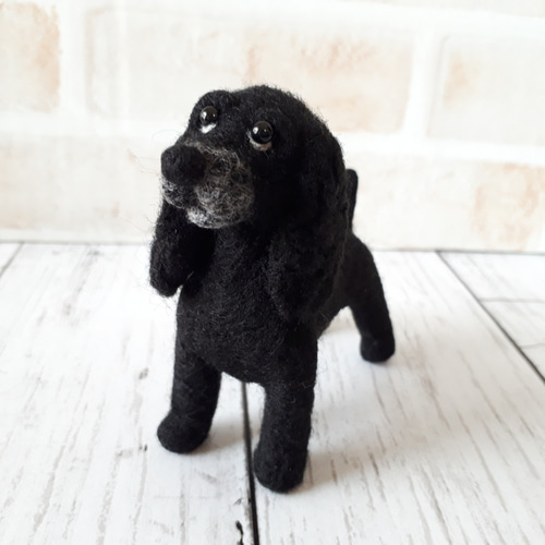 トロマ　羊毛フェルト＋毛糸　アメリカンコッカースパニエル　ハンドメイド　犬 トロマ様専用 羊毛フェルト＋毛糸 アメリカンコッカースパニエル