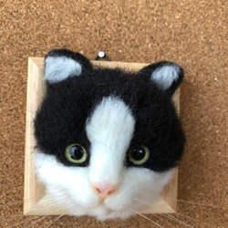 羊毛フェルト 猫 はちわれ猫さん フレーム猫 羊毛フェルト にじ
