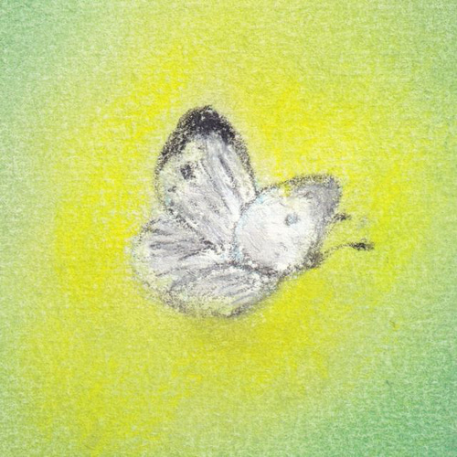 てふてふ1（パステル画 原画） 絵画 にゃんずら 通販 13868663