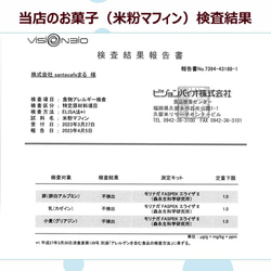 グルテンフリー、卵・乳製品・動物性食品不使用の米粉パン（桑の葉茶） 13枚目の画像