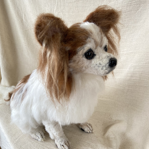 ☆パピヨン 等身大 羊毛 羊毛フェルト 羊毛ドッグ 愛犬 羊毛 ☆パピヨン 等身大 羊毛 羊毛フェルト 羊毛ドッグ 愛犬 羊毛