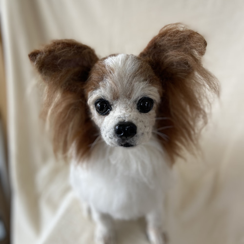 ☆パピヨン 等身大 羊毛 羊毛フェルト 羊毛ドッグ 愛犬 羊毛パピヨン