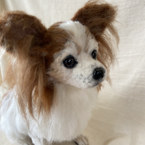 ☆パピヨン 等身大 羊毛 羊毛フェルト 羊毛ドッグ 愛犬 羊毛 ☆パピヨン 等身大 羊毛 羊毛フェルト 羊毛ドッグ 愛犬 羊毛