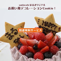 お祝い　お誕生日にいかがですか！グルテンフリー ヴィーガンスイーツ RAWイチゴのケーキ15cmホール 19枚目の画像