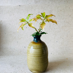 黄瀬戸 とっくり型花瓶（花生け）027 1枚目の画像