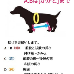 介護を必要とする（ミニチュアダックス専用）四輪歩行器 7枚目の画像