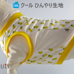 チャコさま専用　フレブル服　ちびハートラグランニット　ハンドメイド フレブル 用】【裏毛 綿100％】ネイビー裏毛ラグラントレーナー