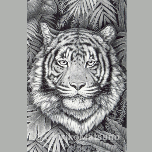ペン画・複製(ジクレー)画 Tiger 絵画 松野ちり子 通販 13870847