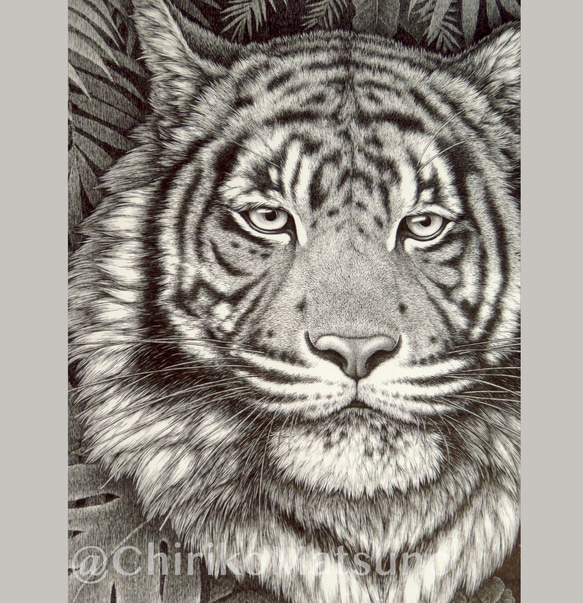ペン画・複製(ジクレー)画　Tiger 6枚目の画像
