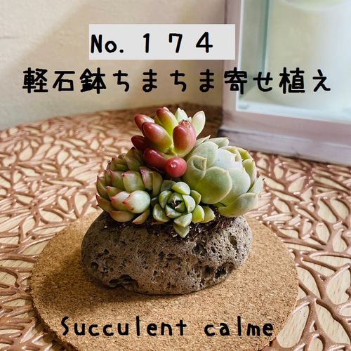 石鉢・寄せ植え鉢・多肉植物鉢・一輪挿し 多肉植物の種類を楽しむ 多肉の寄せ植え方法をご紹介 | 多肉植物