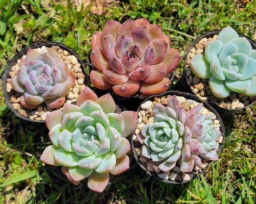 3a44bfa95e36ce932f17f4c84f2995