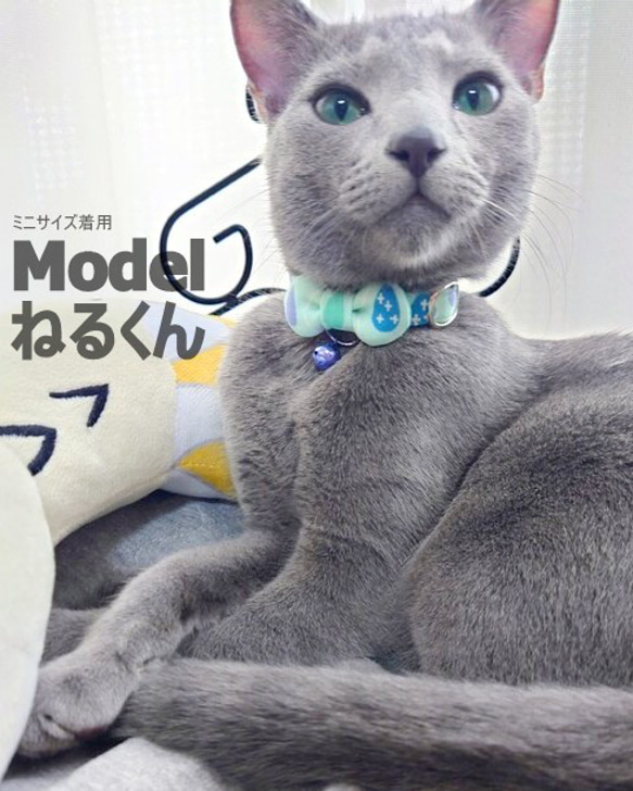 しずくドットのまるりぼん＊猫ちゃん首輪 5枚目の画像