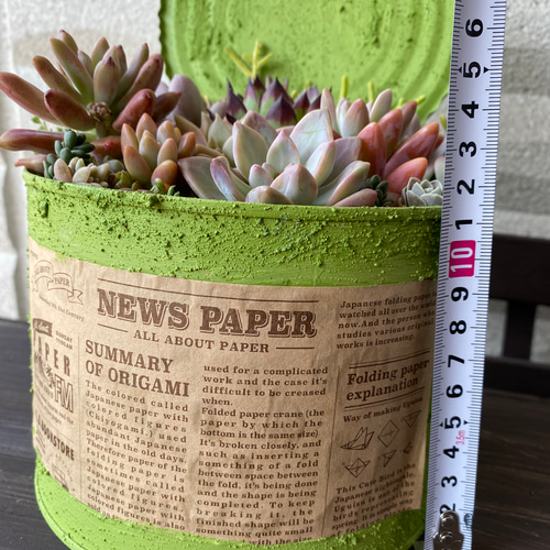 ★多肉植物　寄せ植え〜リメ缶チェーン寄せ〜★ ☆多肉植物 寄せ植え〜リメ缶寄せ〜☆ 観葉 植物 寄せ 植え