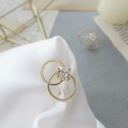 Double hoop bijou earring／pierce*3905* 9枚目の画像