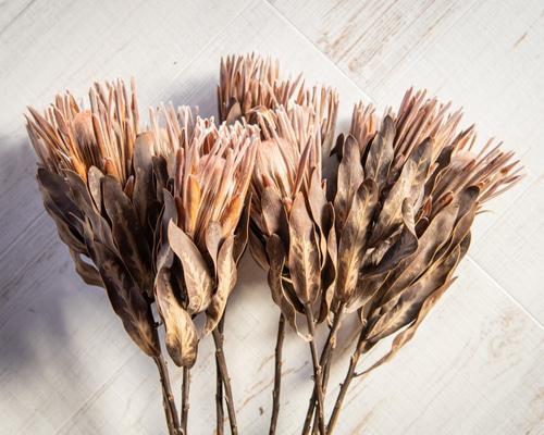 fb4366e9ba063c23f4ea6d92f976d2